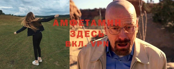 гашик Пересвет