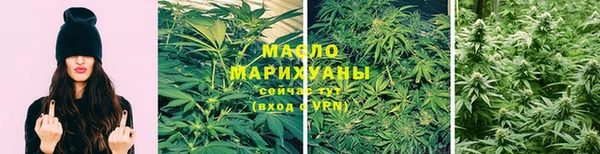 гашик Пересвет